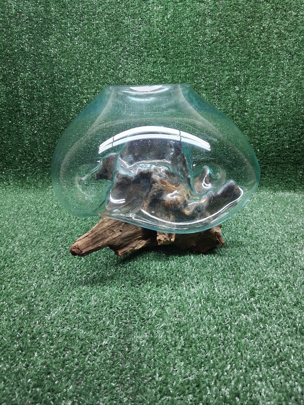 Large Hand Blown Molten Glass Drift Wood Root Sculptured Terrarium Vase Fish
